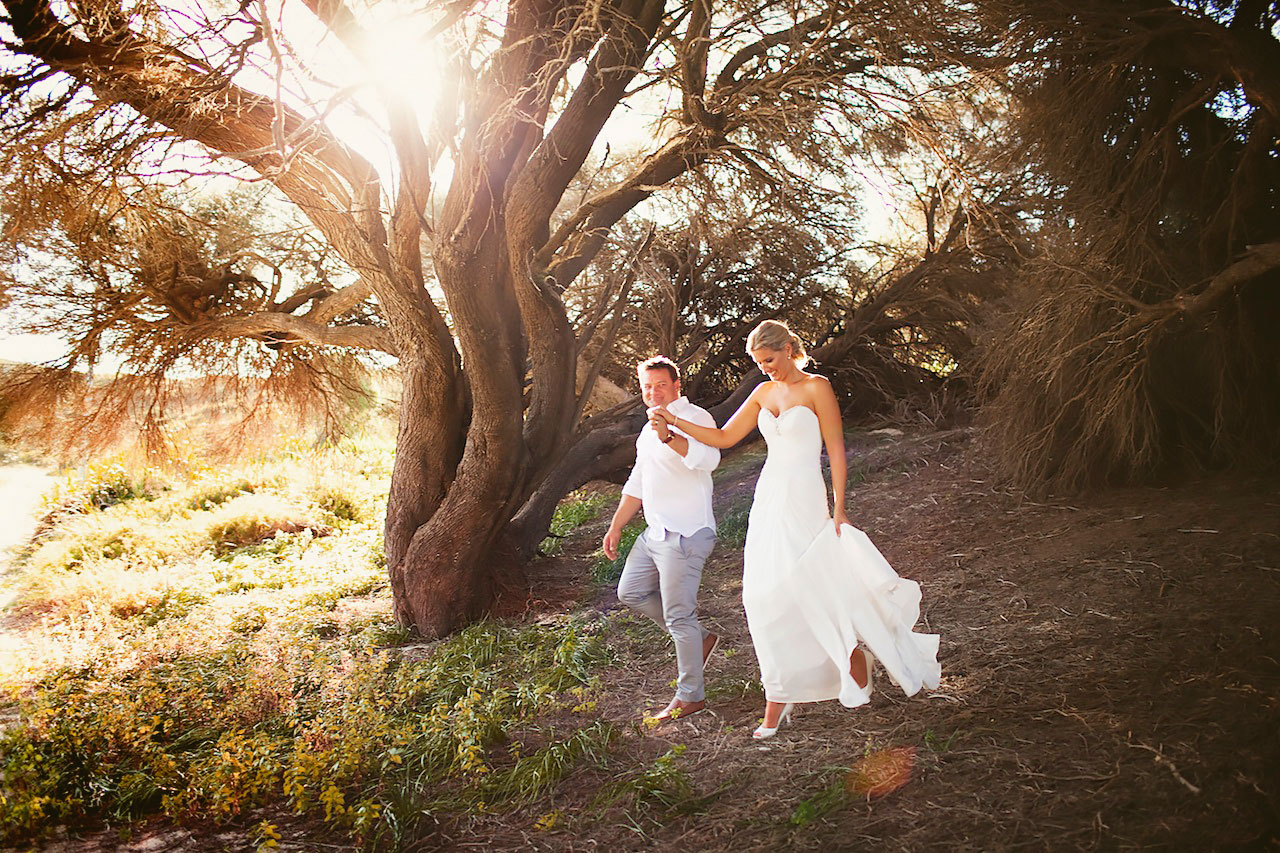 Couple beneath a sunlit tree