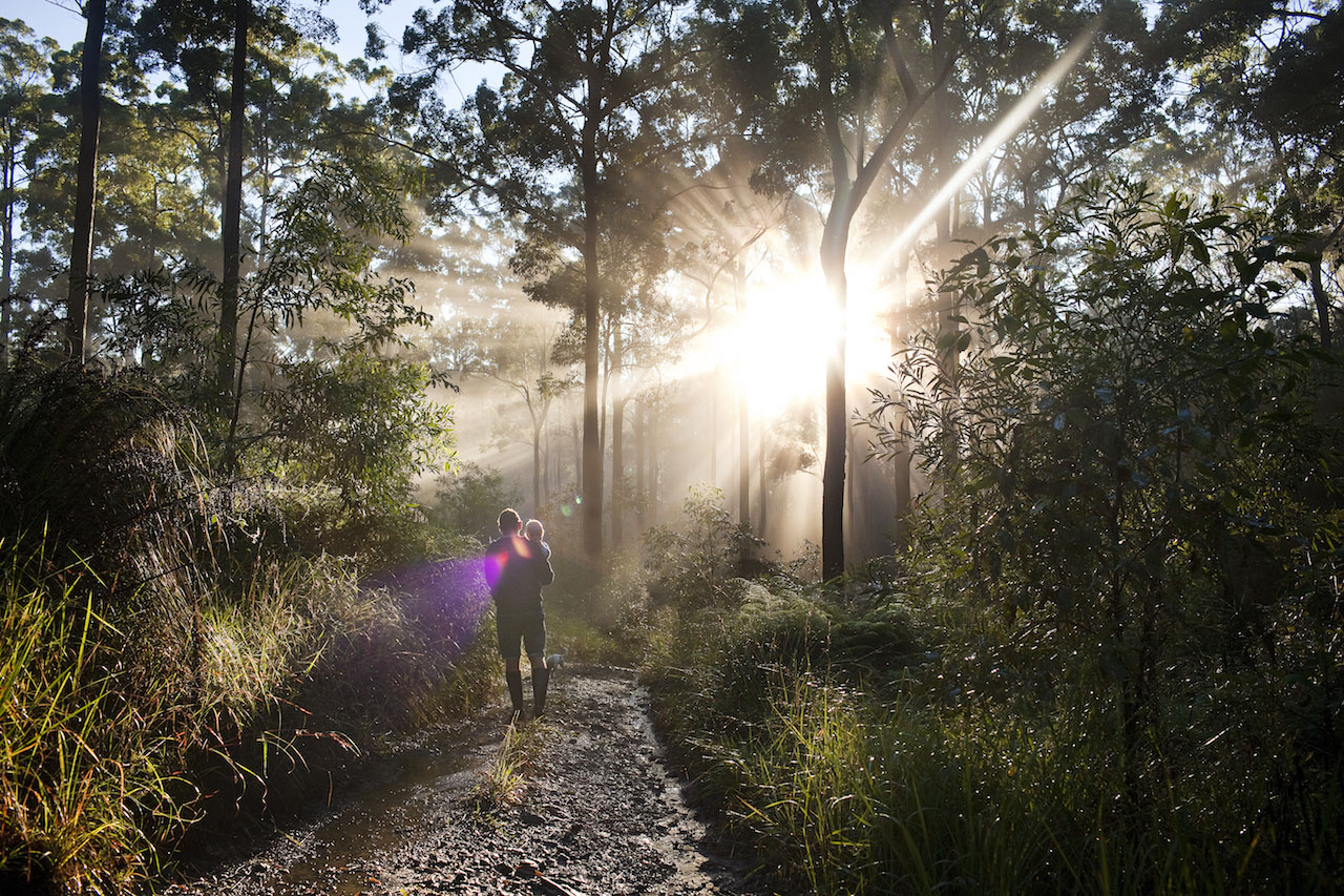 Portrait in a sunlit forest