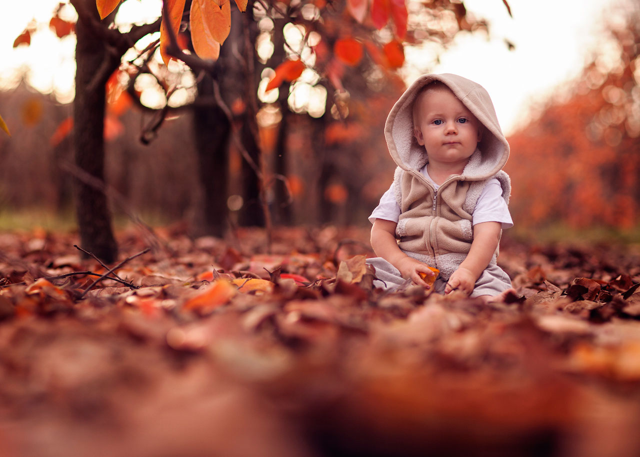 Young child seated among autumn leaves