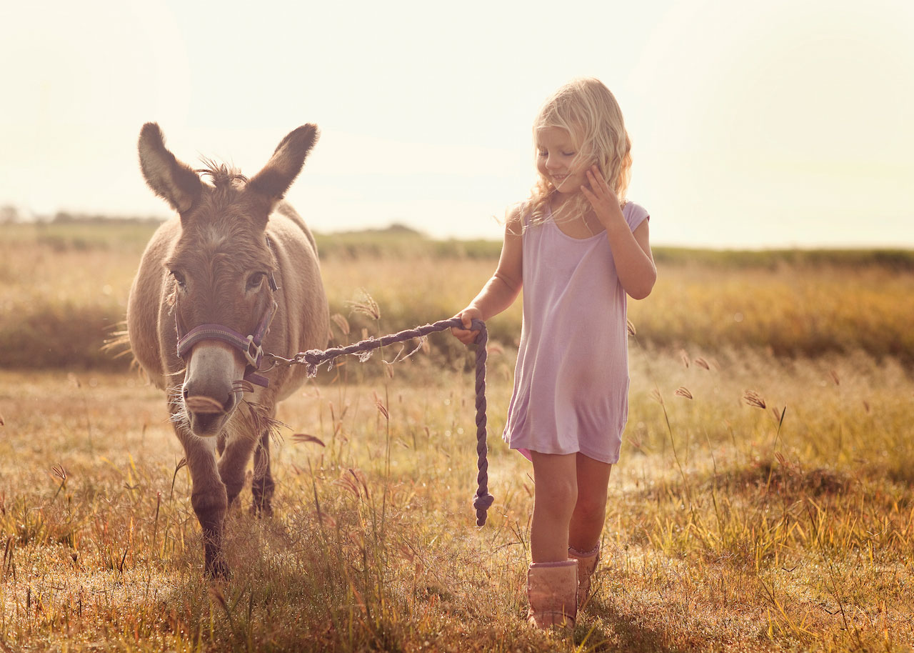 Girl walking with a donkey