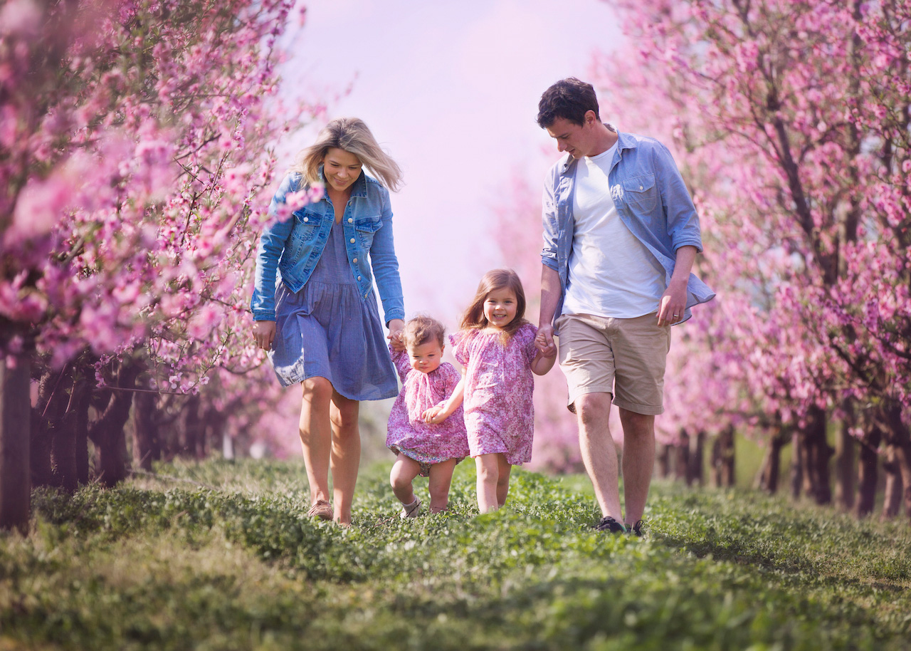 Family walking beneath flowering trees