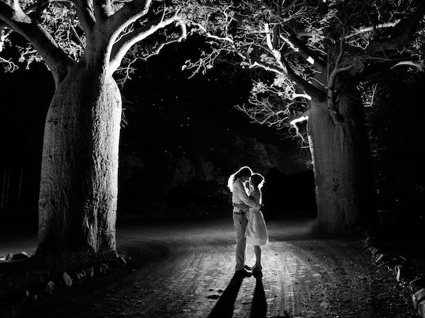 Couple standing among large trees