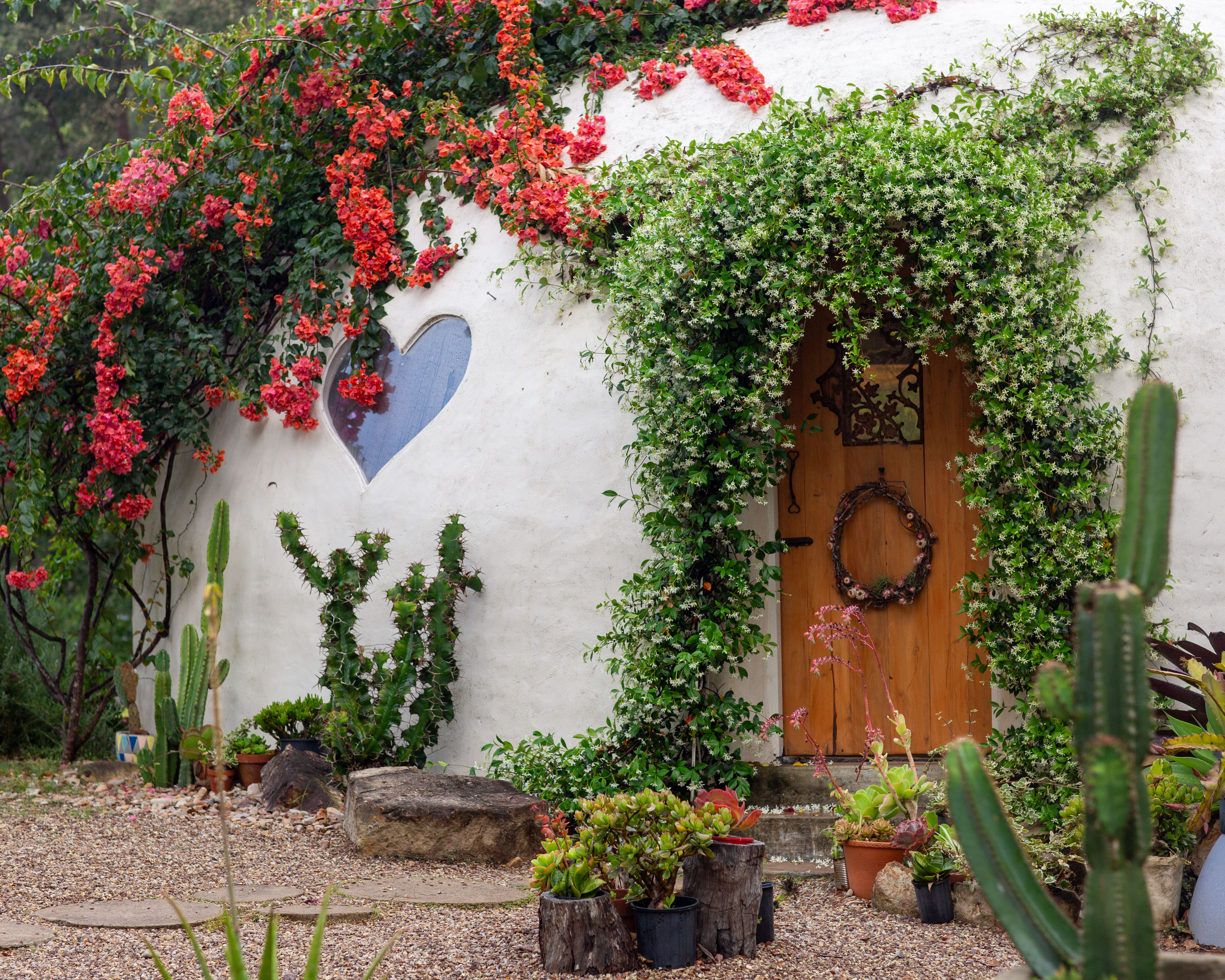 Flowering vines surrounding the wooden entrance to the Wonderdome studio