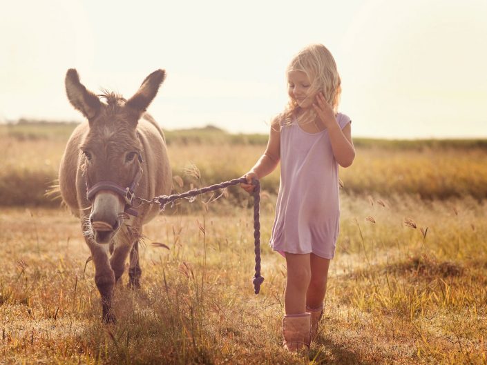 Donkey and girl